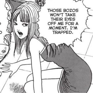 Meet your Posher, Bailey